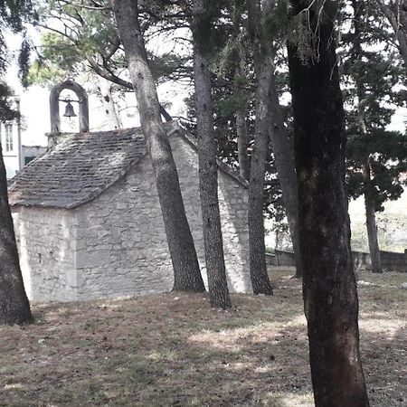 Apartment Perovic Baška Voda Exteriér fotografie
